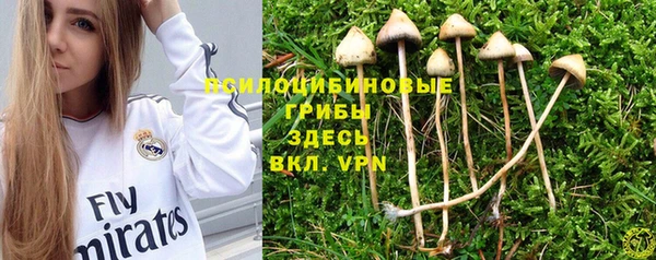 ПСИЛОЦИБИНОВЫЕ ГРИБЫ Лагань