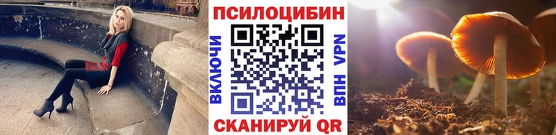 Псилоцибиновые грибы мицелий  Ставрополь 