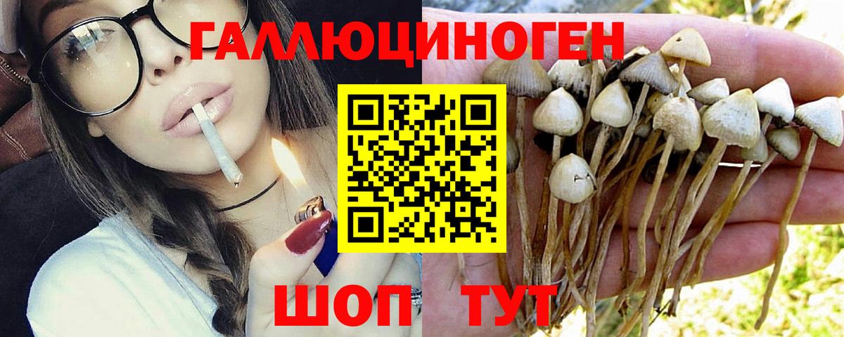 Ставрополь  Галлюциногенные грибы мухоморы  Вход с VPN 