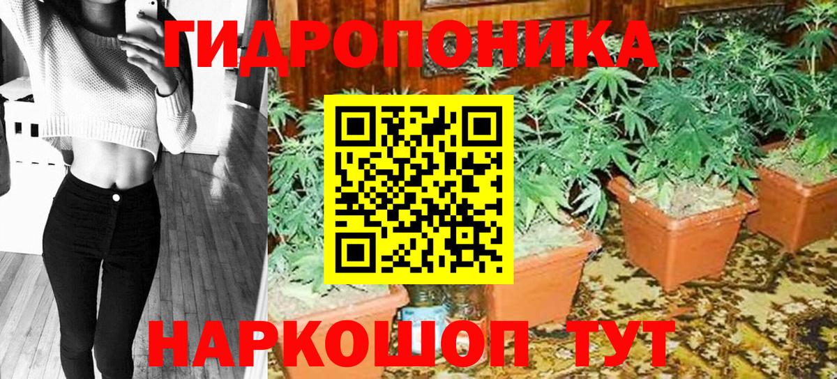 Марихуана THC 21%  Шишки марихуана семена  Конопля White Widow  Вход с VPN  Канабис гибрид  Ставрополь 